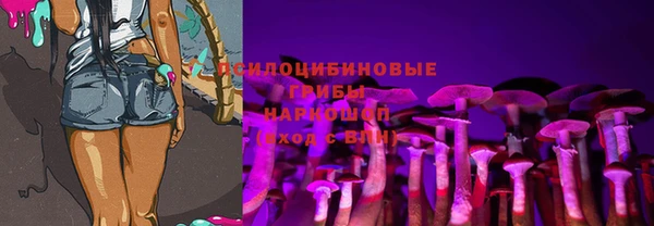 стаф Бронницы