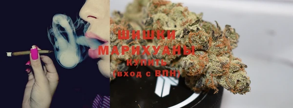 прущий лед Богородицк
